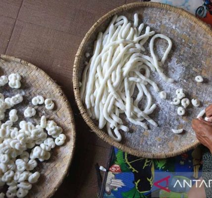 Guru Besar IPB: Pangan lokal jawaban dalam bangun kedaulatan pangan