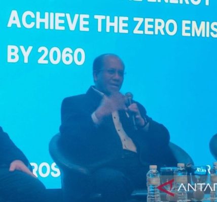 PLN  butuh pembangunan ekonomi 155 miliar dolar AS untuk bangun energi hijau
